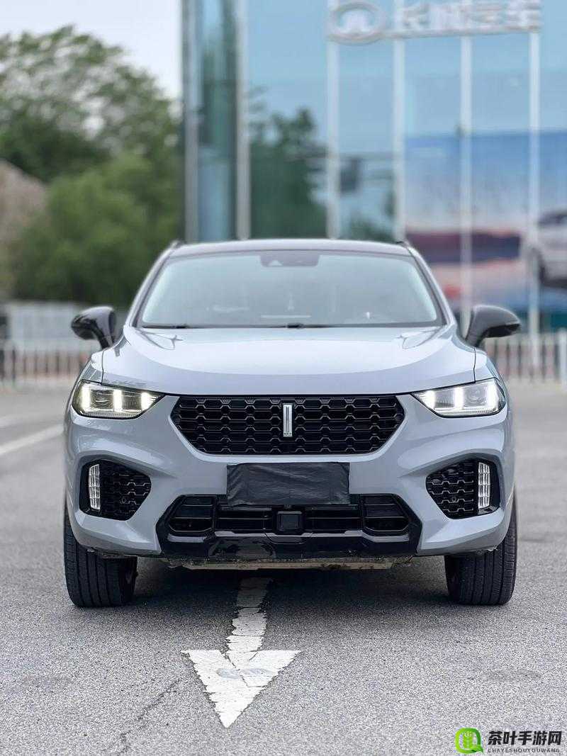 Wey-VV5 国产的 SUV 展现独特魅力引领汽车新潮流