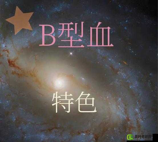 B 型十种，外形各异，你能认出几种