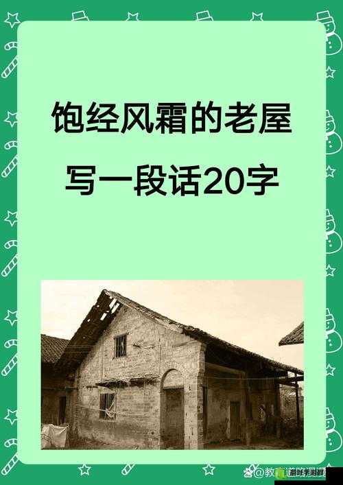 70 岁中国老太的奇妙交谊之路：岁月见证的友谊与故事