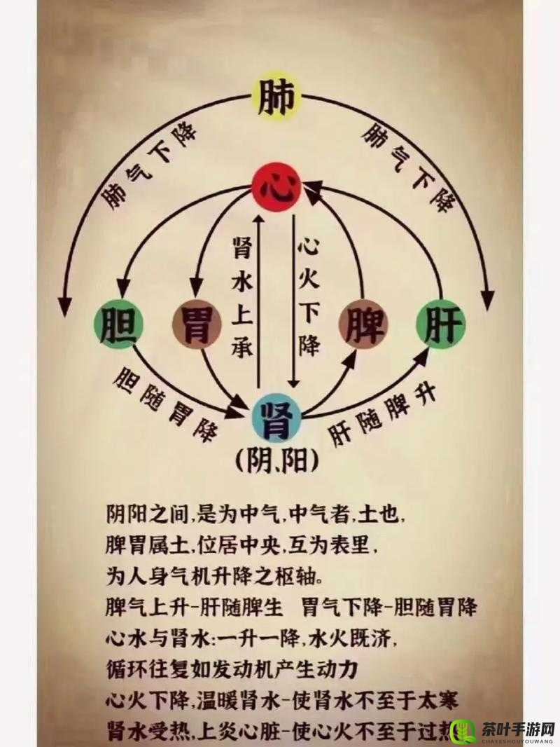 探索经脉作用对门派修行的影响及实现资源高效管理与避免浪费的策略