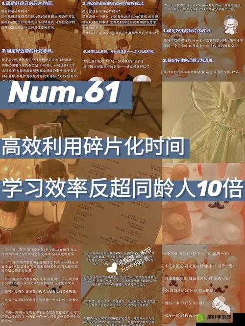 格斗宝贝游戏中如何增加魔人变身时间，资源管理技巧、高效利用策略及避免浪费指南