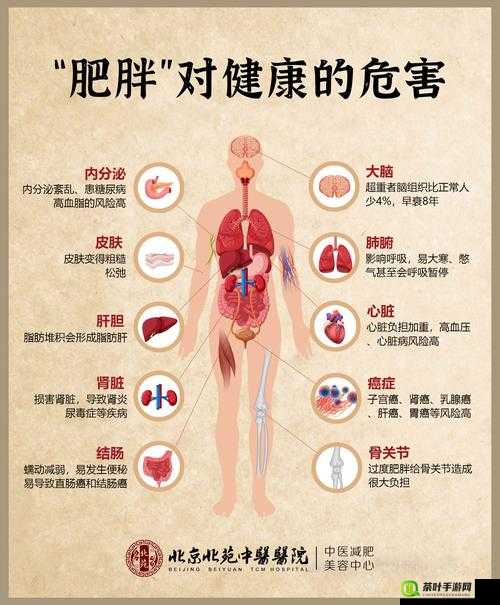 打剧烈运动不盖被子会怎么样图片：对健康的影响及注意事项