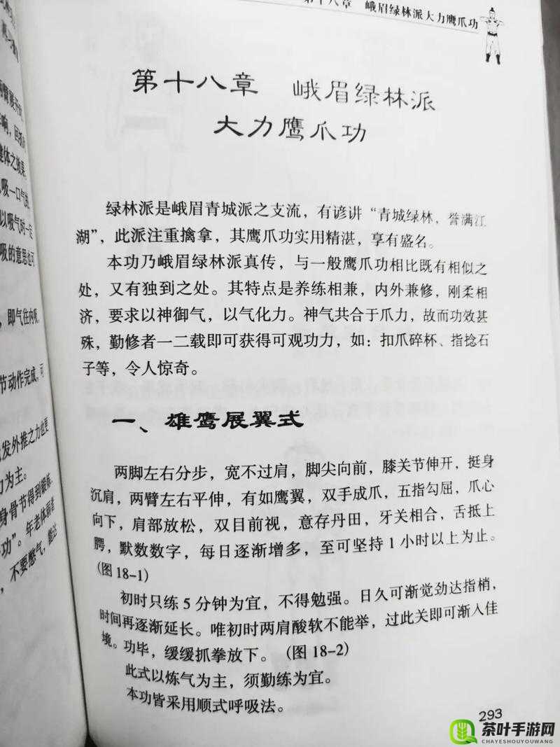 峨眉门派传世武学秘籍深度大揭秘，一窥中华武学至高巅峰奥秘